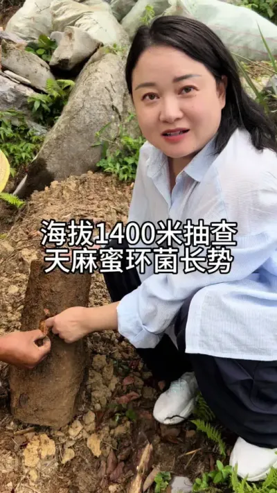 1400׳ۻ ˵¶Ч#ũ #ݪֲ#ũ @С