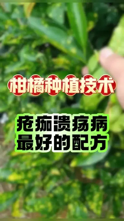 #dou������ ���ٷ������񲡡����財��õ��䷽ #�������� #����ݪֲ #�������� #��������