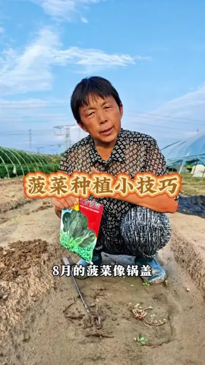 ݪֲС# #ݪֲ #ũ #߲ #ݪֲС @DOU+ @DOU+С @С