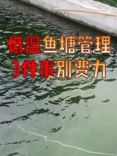 153 ٹʡ#  #  #ˮֳ   #Դ #޿