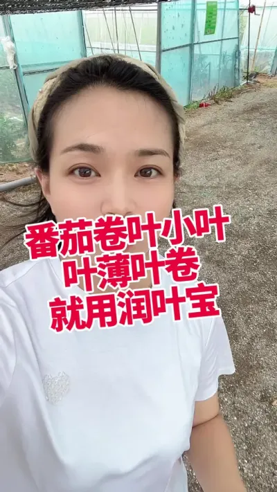 #ݪֲ#ݪֲ#Ҷ#СҶ#Ҷ Ҷ СƳµ@С