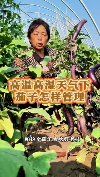 ¸ʪµӸ#ũ # #߲ #ݪֲС #ӹ @С @DOU+С @DOU+