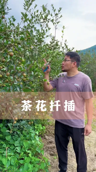 軨ǤҪɻʸ#軨 #ֲ #С֪ʶ #