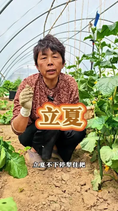 立夏，是二十四节气的第七个节气，也是夏季的第一个节气，代表告别春天，迎接夏天，立夏的&ldquo;夏&rdquo;是大的意思，是指春天播种的植物，已经直立长大了，春生，夏长，秋收，冬藏，时至立夏，万物翻茂，立夏有明显的气候变