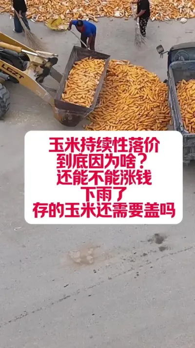 ׻Ҫ׼Ǯ #ũ #ũ #ũũ #֧ԭ