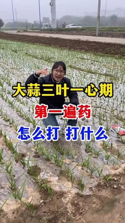 #ݪֲ# #ݪֲ #߲#ũҵ֪ʶũ