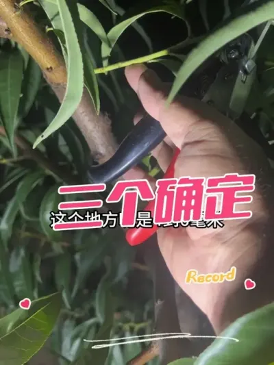 ޼ȷ ȷЧλȷ֦ȷЧ֦Ϊԭ6ֱ#޼ #޼