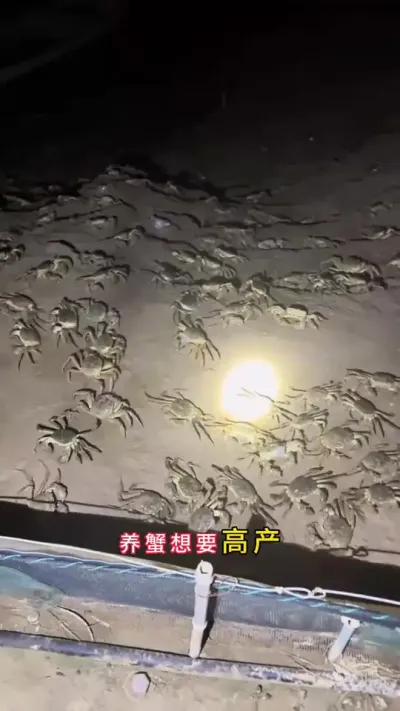 겻һܶڸ߶û#зֳ #Ϻзֳ #зֳ #բзֳ #ũ @DOU+С