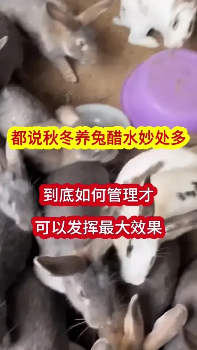 ﶬˮϸʹòſʩչЧ# # #ֳ #