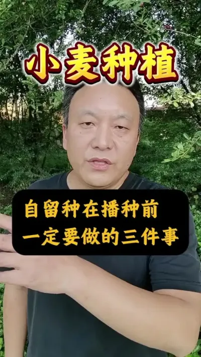 СڲǰһҪ£#Сݪֲ #С