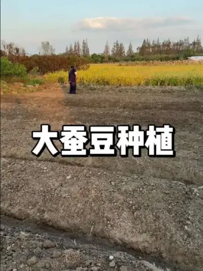 ϶ʲôʱݪֲԽҪעʲô 