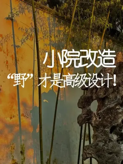 院子越“野”，反而越高级？ #小院时光 #小院改造 #苏式园林 #中式美学 #天雅设计