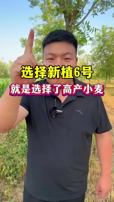 ҪСѡƷֺҪ #ݪֲС #Сݪֲ #С߲Ʒ #ֲ6