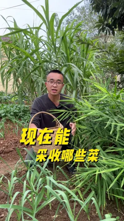 ܲЩ߲#ֲС #ͥݪֲ #ֲ #ݪֲС #ѧֲ