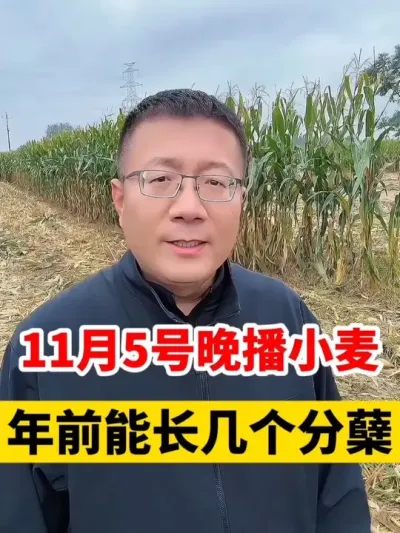 115Сǰּܷ #Сݪֲ #С߲ #С #Сݪֲ #Сݪֲ @̷ũʣ