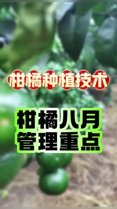 ٰ¹ص#ݪֲ #ٹ #ũҵݪֲ #ũ #ݪֲС