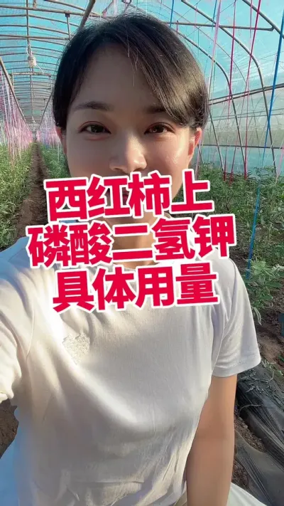 ##֪ʶ #ݪֲ#ݪֲ#ɫ  ڳ ע ໥ѧϰ@С