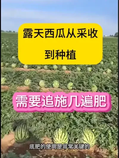#抖音助力三农 #种植技术 #抖音三农热点