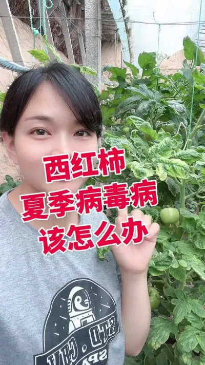 ##ݪֲ##¶ СƳµ@С