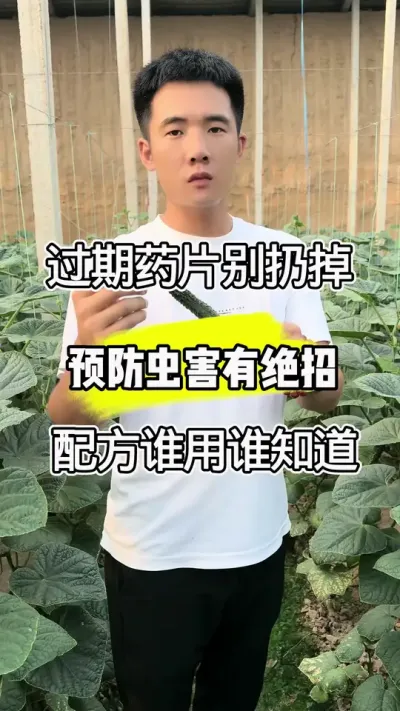 ҩƬӵԤ溦о䷽˭˭֪ #ֲ #ƹݪֲ #ũƹ