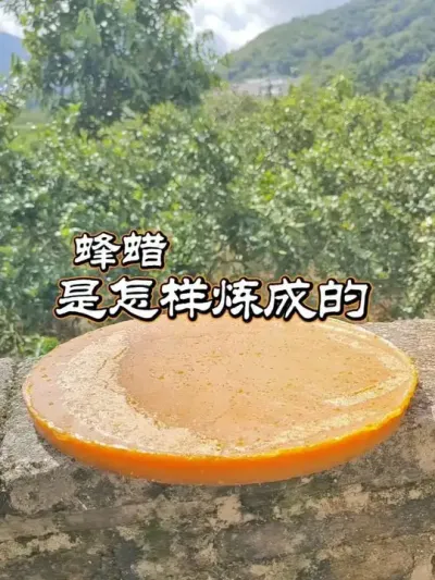 ɵ ͷ䳲˳#۷ֳ #ũ #ũ2025