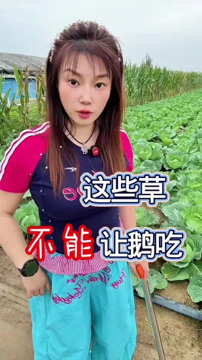 עأЩݲɸ##շ #ũ崴ҵֳ #ũ