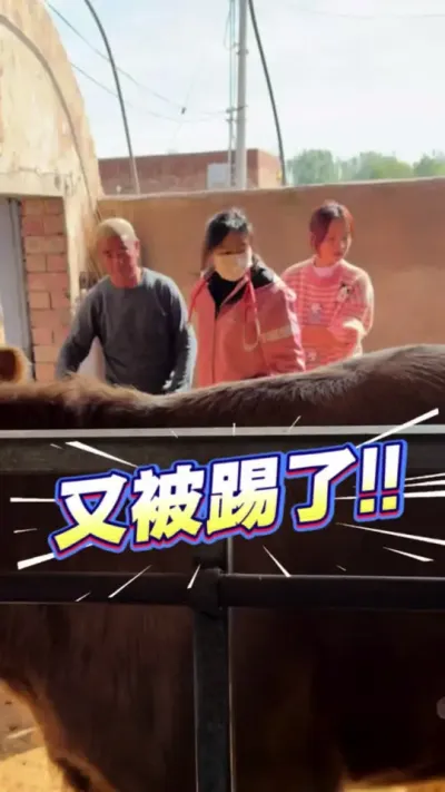 һһ“ɽ”ʳרעҲ䲻Ƚʵʵһ? ۵컹ȿοţ——˭“ҪβҪ”ţػء #¼ҵũ#ҽ׋O