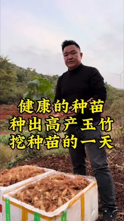 Żֳ߲һ죡# # #ݪֲС #ݪֲȤ #ũ