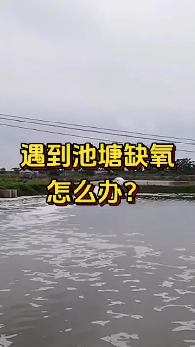 #οˮ#ο#׶Ϻֳ #ĶϺ