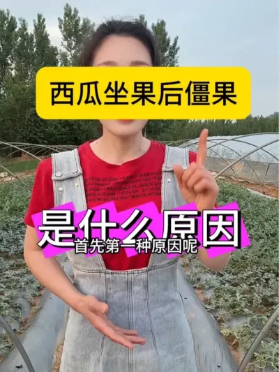 #助农行动 #抖音助农在行动 #抖音三农热点