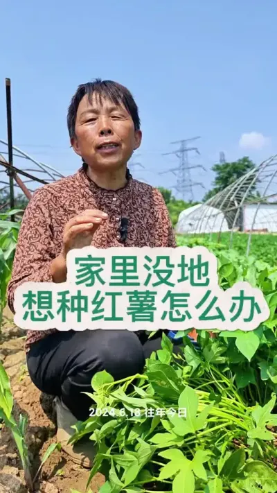 ����û������������ݪֲ#���� #����ݪֲ #��ũ #�߲�����#ݪֲС���� @DOU+������ @��������С���� @DOU+С����