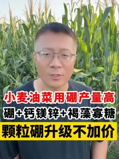 СͲ˻ʲ¿ʲӼۣ # # #Сݪֲ #С߲ #ݪֲ