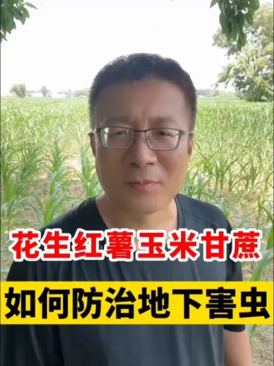 ׺εº #ũҵݪֲ #º # #ݪֲ #ݪֲ