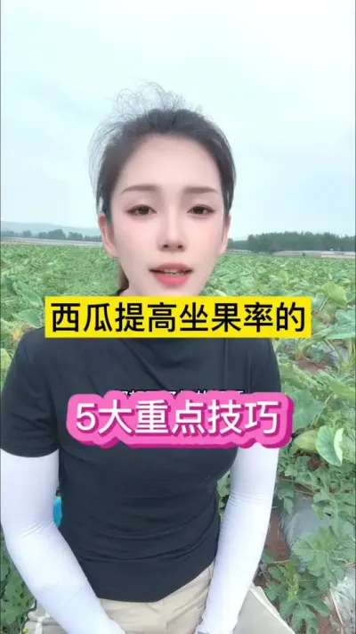 #������ũ #������ũ����