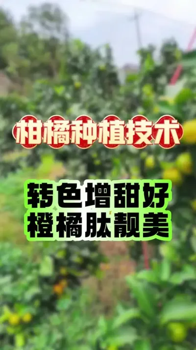 תɫԳ徲˹޲#ݪֲ #תɫ #ٹ #