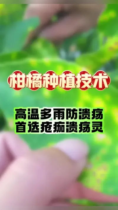 ٶ꼾ڷһԴ#ݪֲ #ٹ # #ũҵݪֲ #ٲ