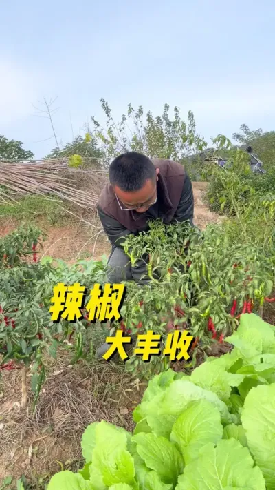 #ֲС #ͥݪֲ #ݪֲС #ֲ #л߲