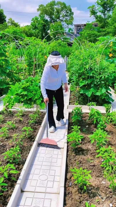 95԰#ҵ #СԺˢ #԰ #СԺʱ #ڼֲ