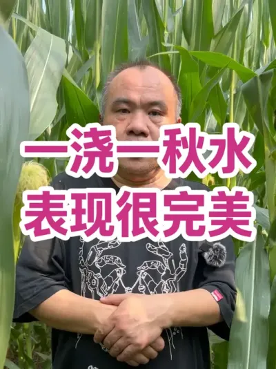 һһˮ ֺ 2025 Ĳ̵ĸ߲ݪֲѲ7 ¸¸ɺڽһˮڷӭˮ߲#ũҵݪֲ