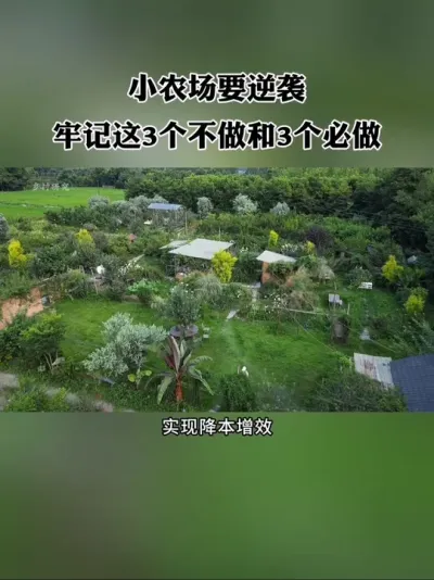 Сũ����Ҫ������Ч���м���3��������3��������#ũ�� #��ũ�� #ũׯ #����ũҵ #��������