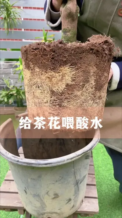 軨ȱˮĺ#軨 #С֪ʶ #İ