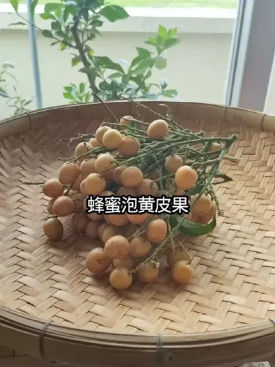 ݻƤ 㶫ڳ֦лƤһݻƤ#Ƥ # #ũ2025