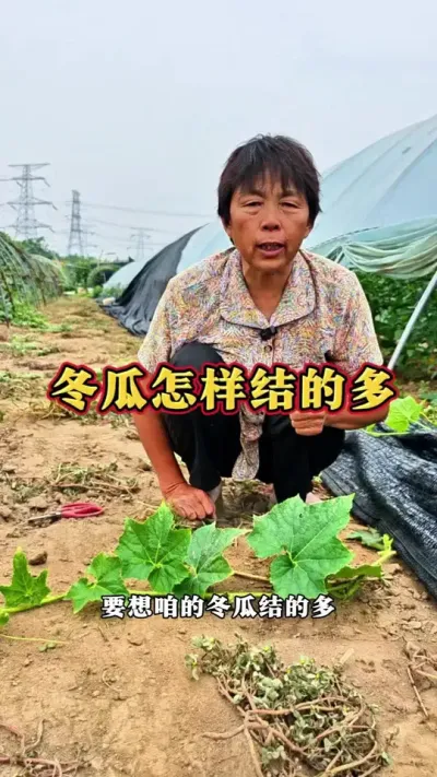 Ҫ붬ϽĶϴٲ#ũ # #߲ #ݪֲС@DOU+ @С @DOU+С