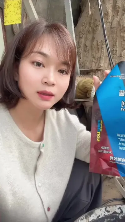 #Դ#ݪֲ##¼ҵݪֲ# Ҫ͵СƳ@С