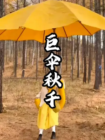 ��ɡ��ǧ#��������  #�������  #�ܶ�����  #�����