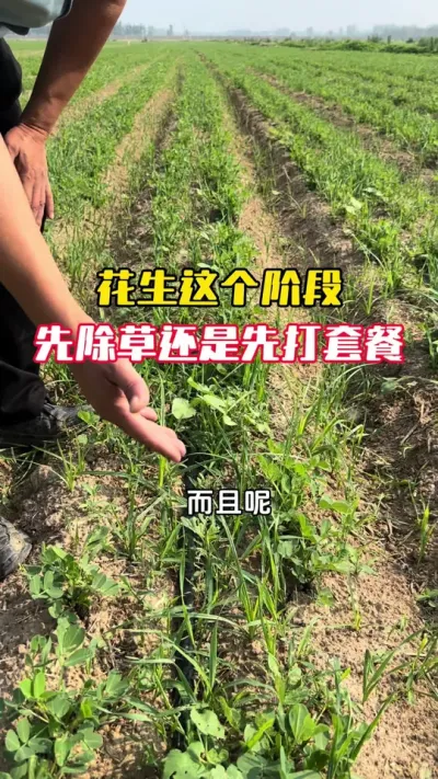 �������������������ȴ��ײ��վ��ȴ���ݼ�#����ݪֲ #�������� #�����߲� #�����߲�ݪֲ #ë��������߲�����