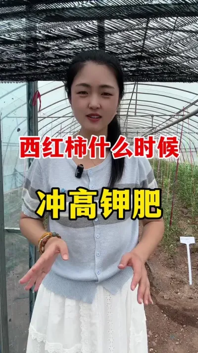 ݪֲ߼طʾʲôʱ #ݪֲ #ݪֲ