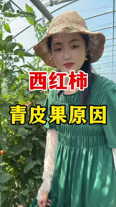 ��������Ƥ����������ô������ #������ݪֲ #������ݪֲ����