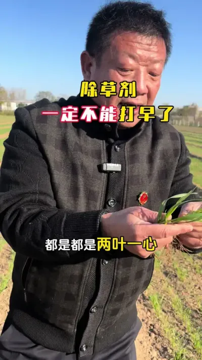 С��ʲôʱ�䲻�ɴ���ݼ�#С��#С��߲�#С��ݪֲ#С��߲������ƻ� #ë��������߲�����