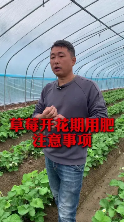 Ż÷ע#ݮݪֲ #ݮ #ݮݪֲ #ũҵ֪ʶũ #ũ